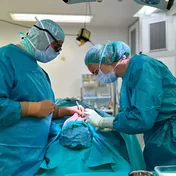 Zwei Mitglieder des OP-Teams der Westfalenklinik bei einem Eingriff, in türkisfarbener OP-Kleidung unter der OP-Leuchte